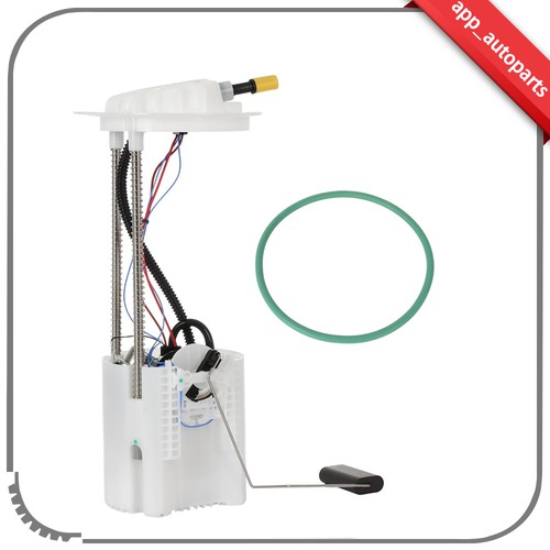 Electric fuel pump - for, 2009
