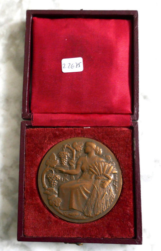 Medaille bronze son - bronze,