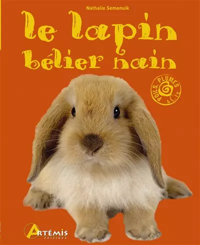 Lapin belier nathalie - lapin, belier,