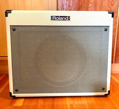 Roland guitar amp blues - roland,