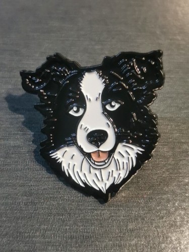 Border collie dog chien pin - chien,