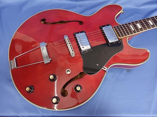 Guitare électrique acoustique