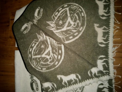 Poncho resembling clint - poncho,