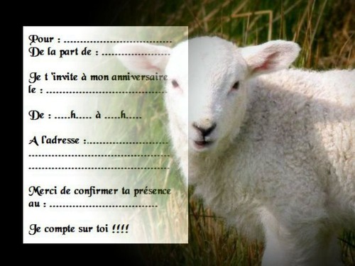 Cartes invitation - 5, ou