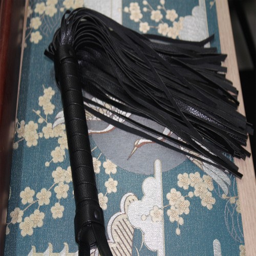 Cuir paddle fouet - fouet, flogger