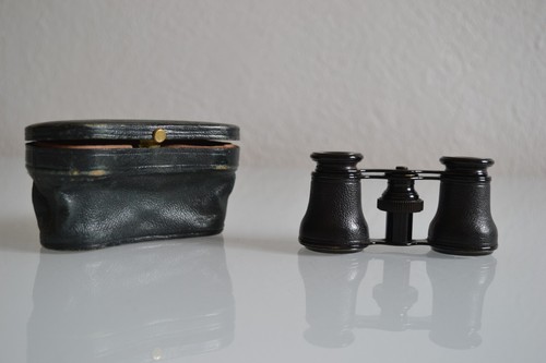 Old theatre binoculars - theatre,