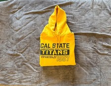 Sweat à capuche Champion