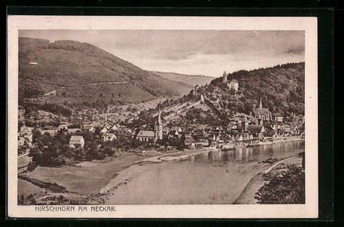 Corne cerf sur - corne,