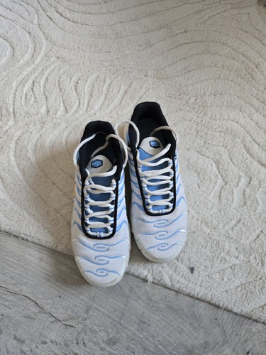 Nike air max - tn, bleu