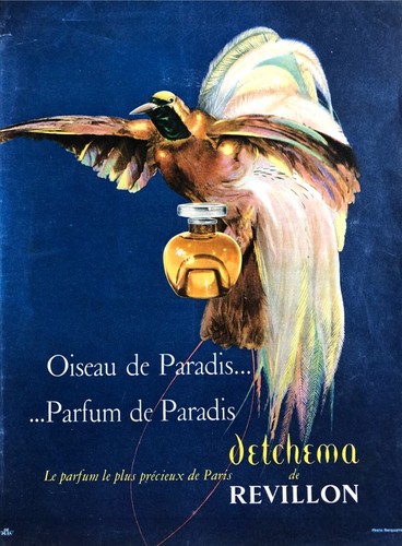 Publicité papier parfum - publicité,