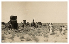 Tunisia, caravan in the south of the country, vintage print, ca.1918 Tunisia, caravan