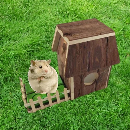 Hamster hideout - hamster,
