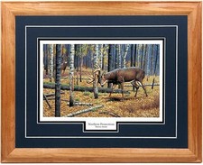 Northern Promotions Whitetail