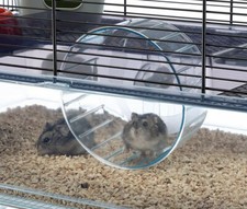 Ferplast Favola Large Hamster