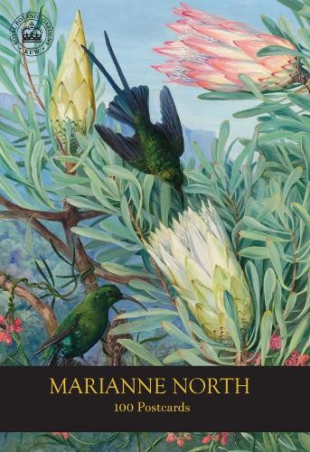 Rbg kew marianne north - kew,