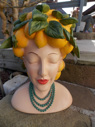 Superbe cache pot - tête, de