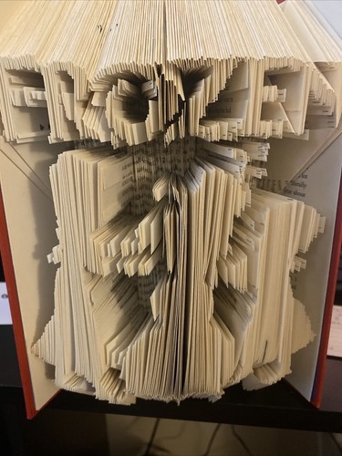 Frozen book folding art - book,