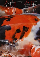 Livre Japonais Album Photo Nishiki Goi Tout Sur NishikiGoi Poisson Koi JAPON