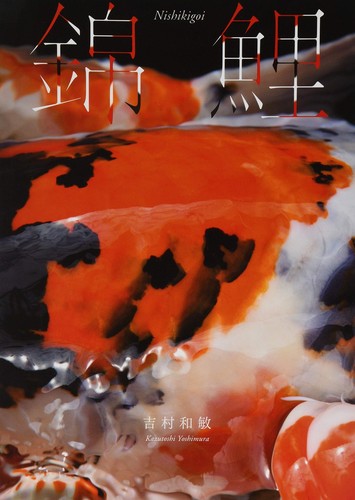 Livre japonais album photo - album,