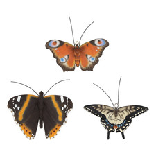 1 Papillon En Résine Suspendu