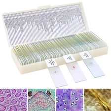 60 Microscope Slats Prepared with Biological Specimens Insects P...