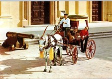 Maltais Karozzin Malte Cheval Buggy Enfant & Old Man Driver Carte Postale