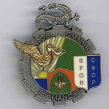 RCS TRAIN DMNSE 8th Mandate SFOR Ex-Yugoslavia Div Salamander Badge Delsart