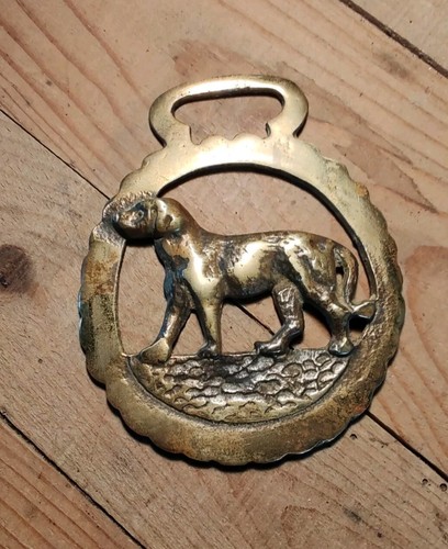 Harnais cheval laiton - de,