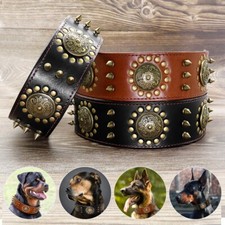 Cuir véritable collier de chien clouté Rottweiler 5.2cm large L XL Marron Noir