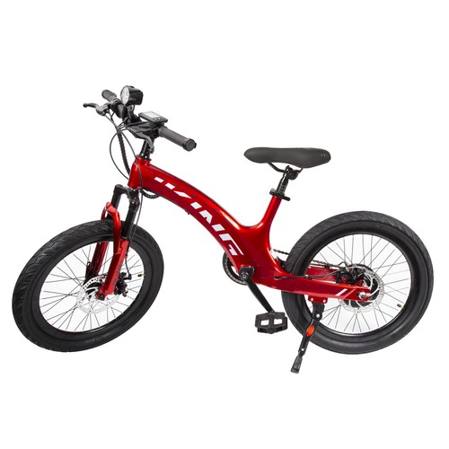 Bicicletta elettrica h - elettrica, 25