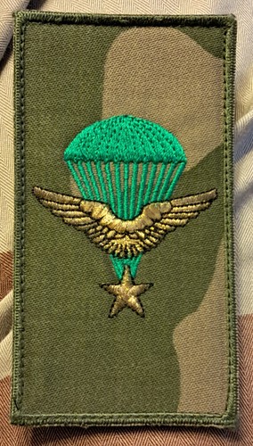 écusson troupes aéroportées - écusson,