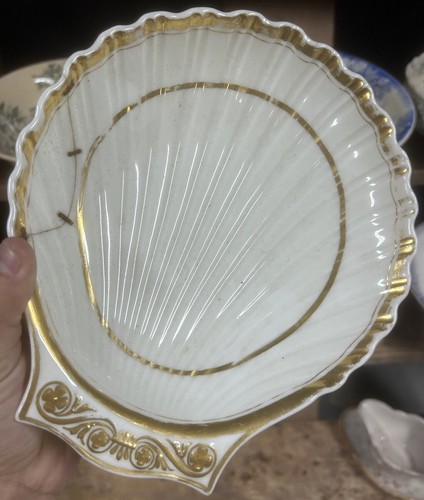 Porcelaine coquille saint - porcelaine,