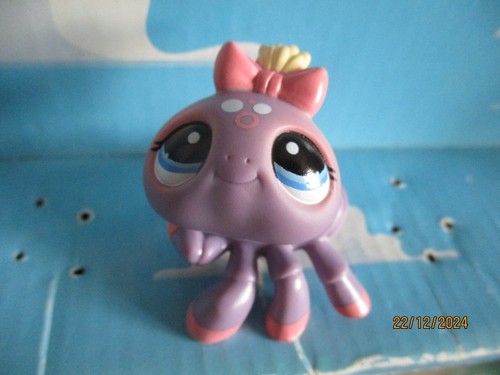 Petshop araignee 1619 - petshop, n°1619