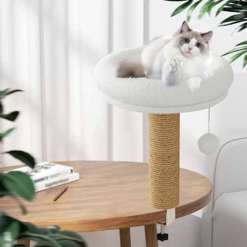 Lit pour chat meuble - pour,