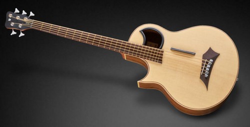 Warwick alien main gauche - alien,,