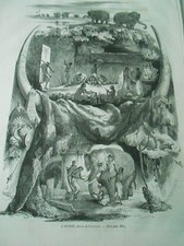 1865 Engraving - Ivory Elephant Defense