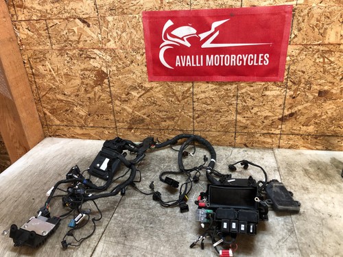 2022 2023 ducati monster - ducati,