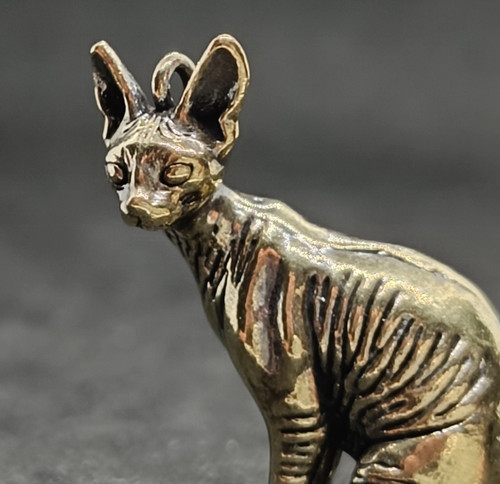 Miniature chat sphynx - chat,