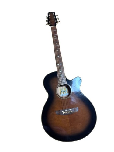 Guitare acoustique électrique