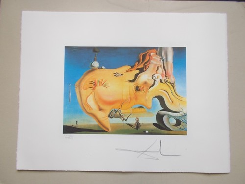 Lithographie salvador dali - dali,