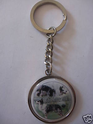 Porte clés métal - métal, chien