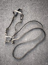 Regulatory 1874 Cavalry