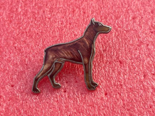 T39 pins chien doberman - chien,