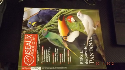 Revue cde oiseaux exotiques - revue,