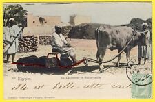 Old postcard EGYPT type trade Le LABOUREUR coupling agricultural machine Le HACHE STRAW