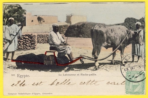 Cpa egypte type métier - cpa, le
