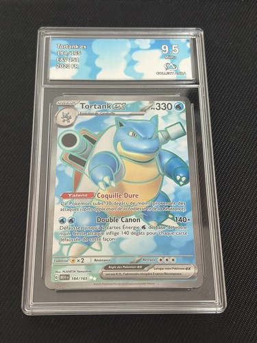 Tortank 184 165 - tortank, collect