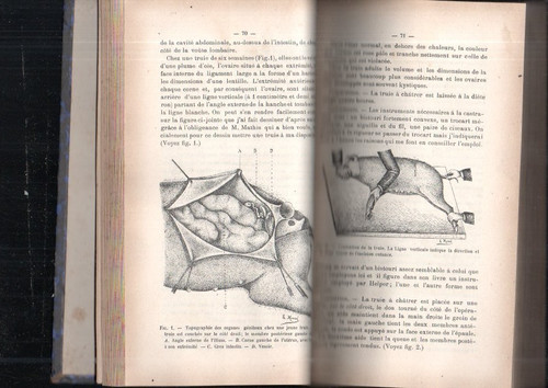 Livre rare journal des - rare,