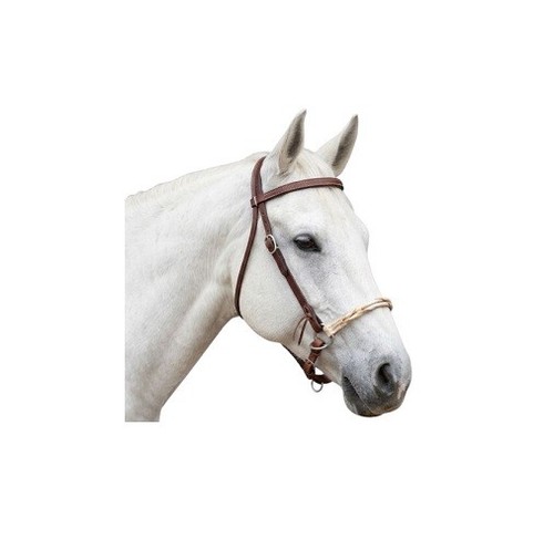Horse sidepull jaquima - sidepull,