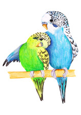 5 x autocollants de voiture